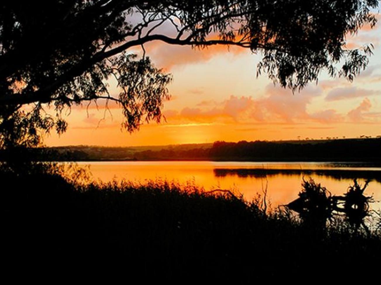 Riverview Rise Retreats * Mannum