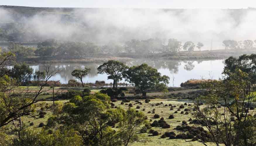 Riverview Rise Retreats Mannum
